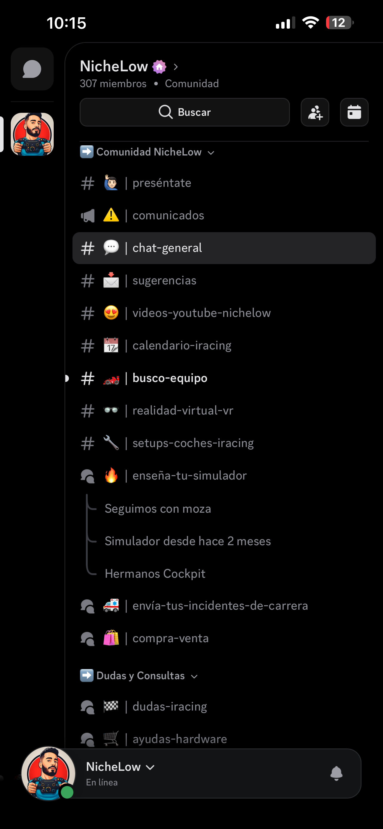Discord NicheLow